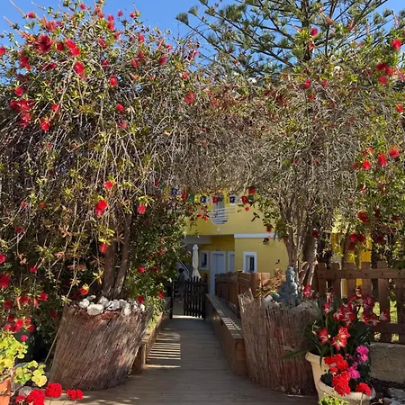 Appartement Claudiagapi Korfu Agios Stefanos Avliotes (Corfu)
