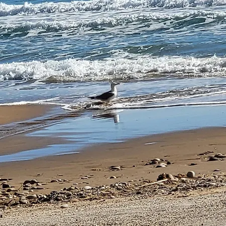 Apartamento Claudiagapi Korfu *