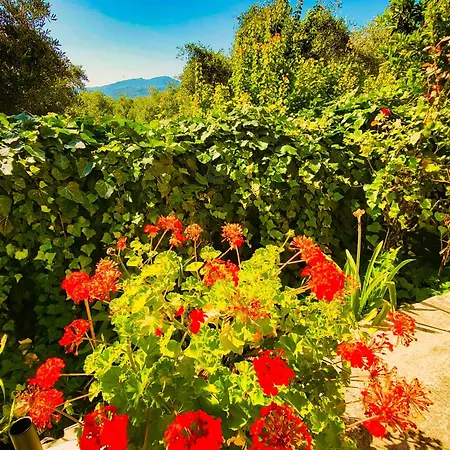 Apartament Claudiagapi Korfu Agios Stefanos Avliotes (Corfu)