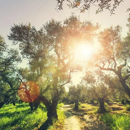 Claudiagapi Korfu Apartament Agios Stefanos Avliotes (Corfu)