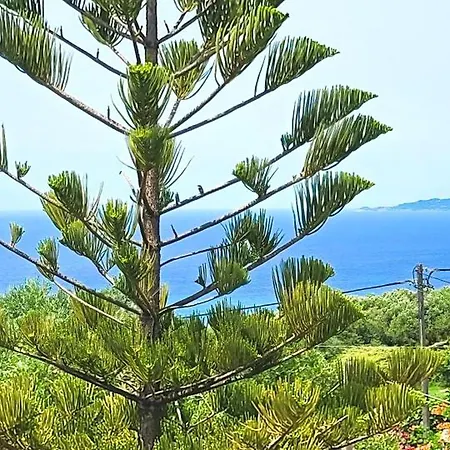 Apartament Claudiagapi Korfu *