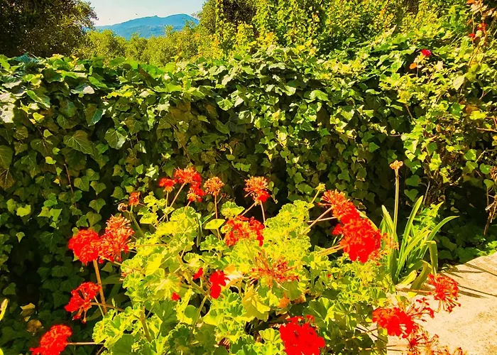 Apartament Claudiagapi Korfu Agios Stefanos Avliotes (Corfu)